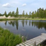 WRC 2012. Rally de Finlandia. RoadBook 2