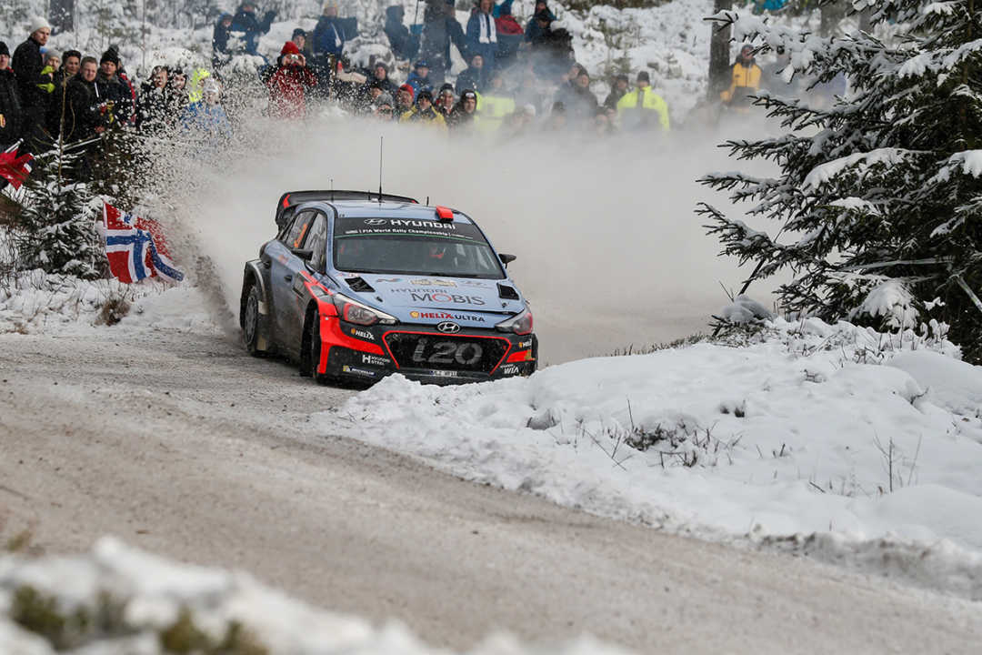 pic.Sordo