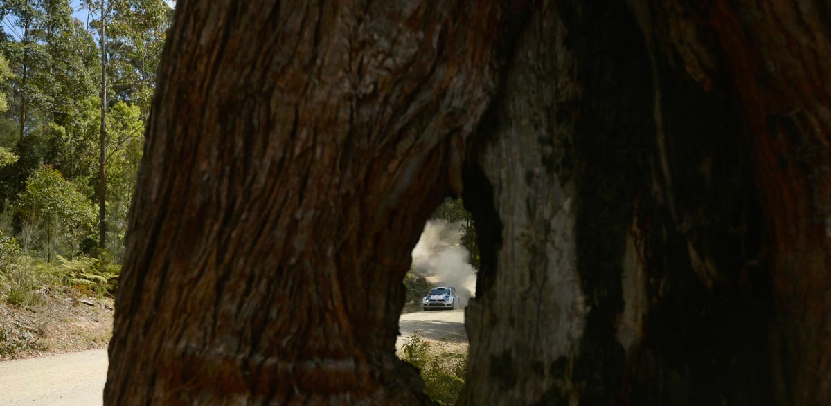 Rallye Australia 2013, VW