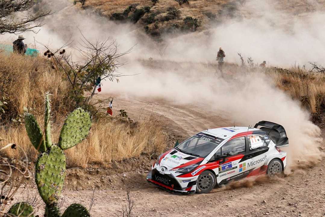 Estadísticas del Rallye de México de los pilotos de Toyota